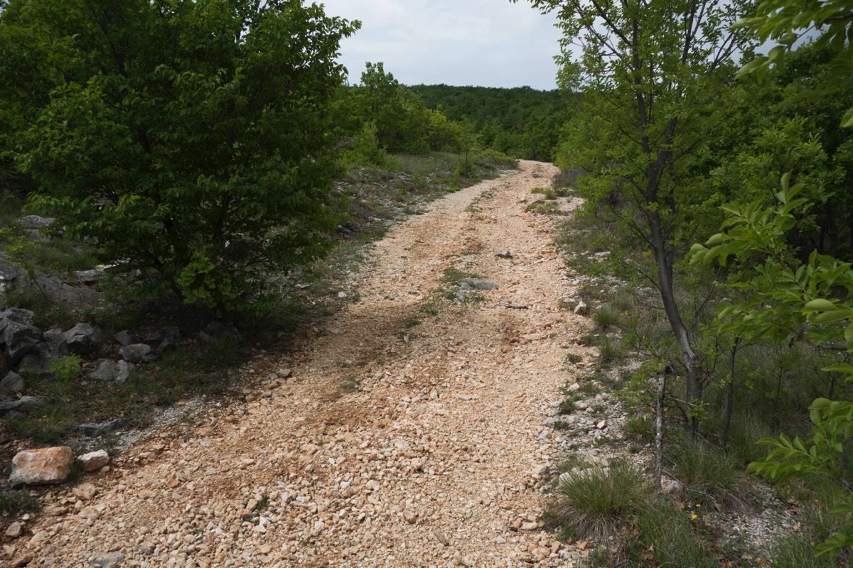 Stacks Image 109