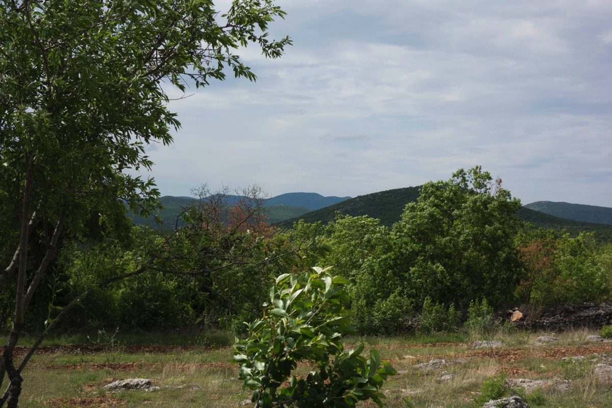 Stacks Image 83