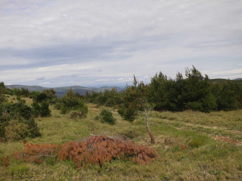 Stacks Image 82