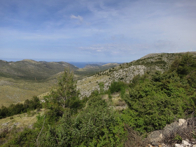 Stacks Image 90